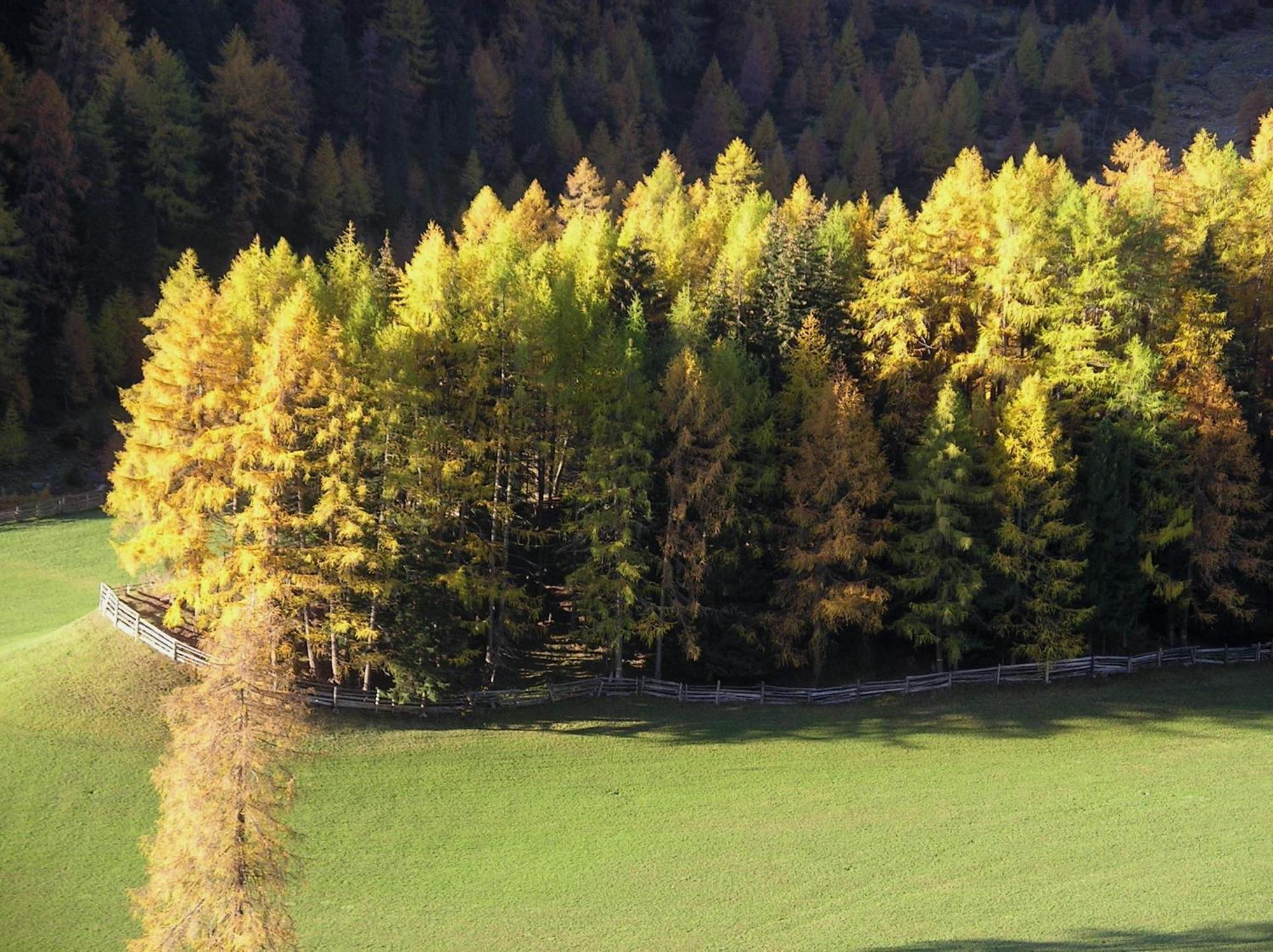 Hotel Edelweiss Malles Venosta Exteriör bild